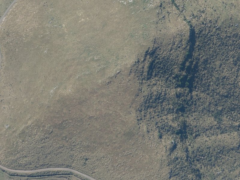 aerial view of Carews Peak and the ground around it