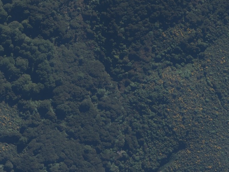 aerial view of Ferngully and the ground around it