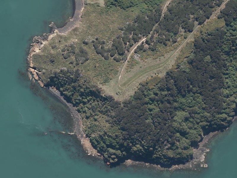 aerial view of Moa's point and the ground around it