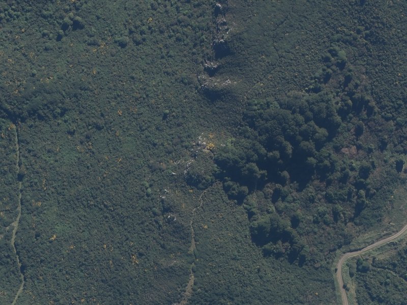 aerial view of Skyline Beech Lookout and the ground around it