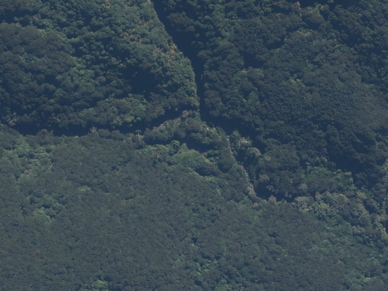 aerial view of Woodcutter's Clearing and the ground around it