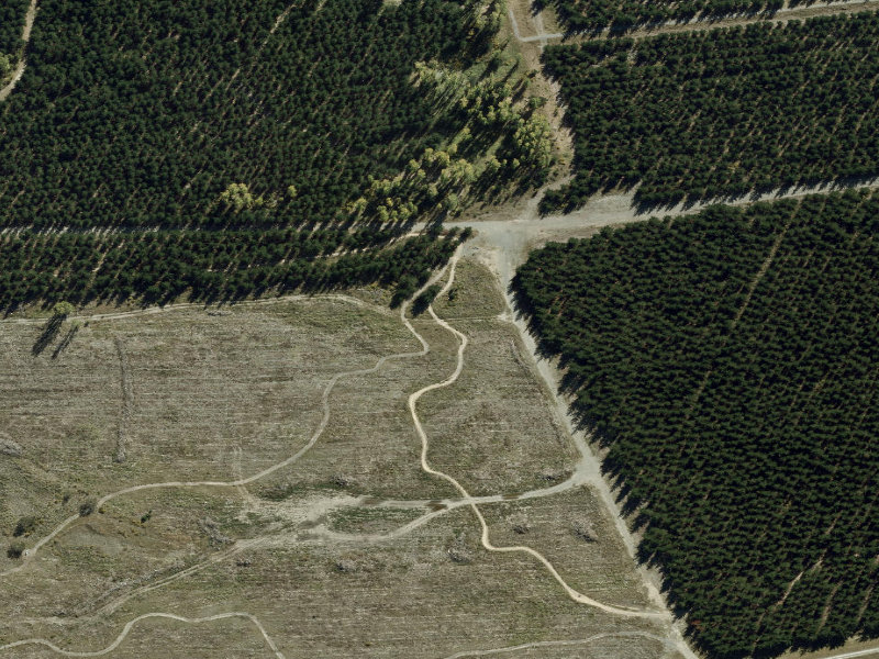 aerial view of Adventure Mountain Bike and the ground around it