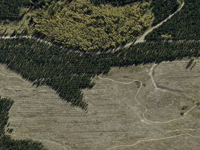 aerial view of Day Walk and the ground around it