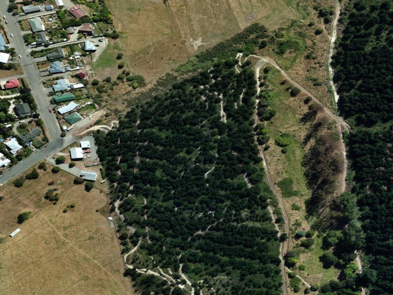 aerial view of Oamaru Walkway and the ground around it