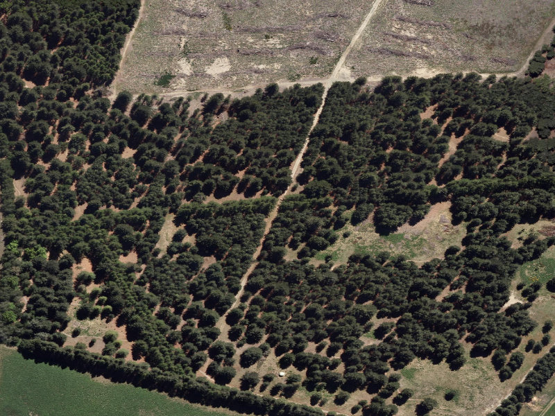 aerial view of Combined Mtb And Walk and the ground around it