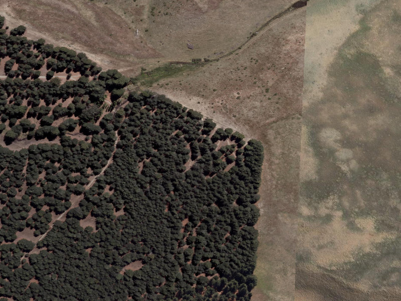aerial view of Short Walk and the ground around it