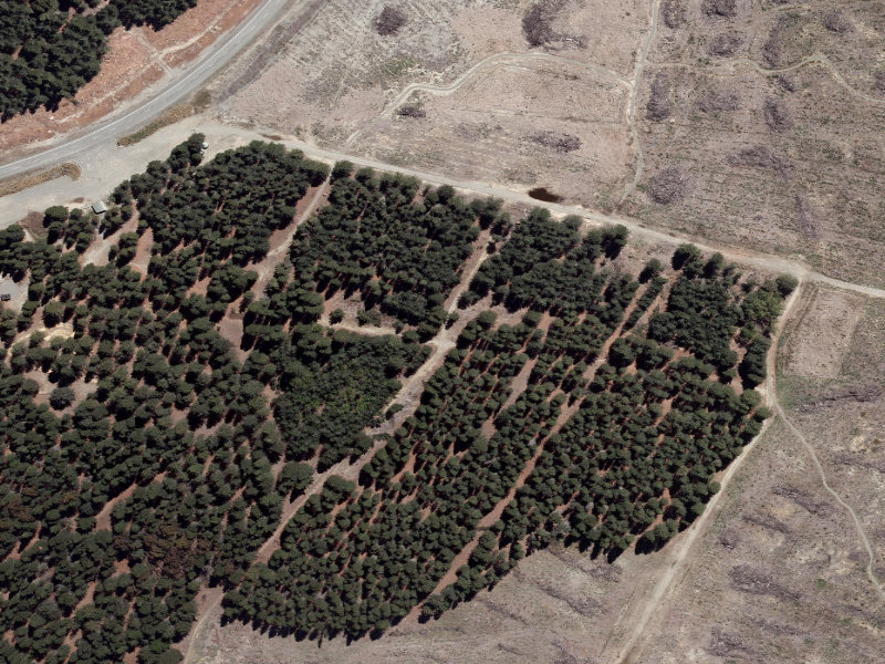 aerial view of Combined Mtb And Walk and the ground around it