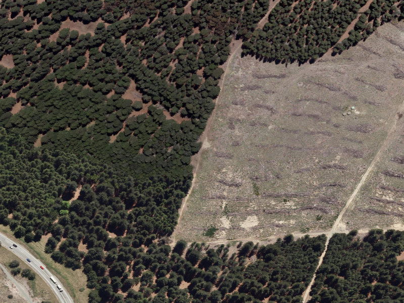 aerial view of Combined Mtb And Walk and the ground around it