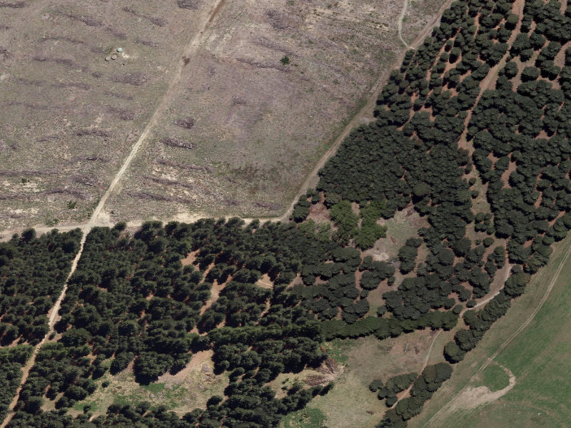 aerial view of Combined Mtb And Walk and the ground around it