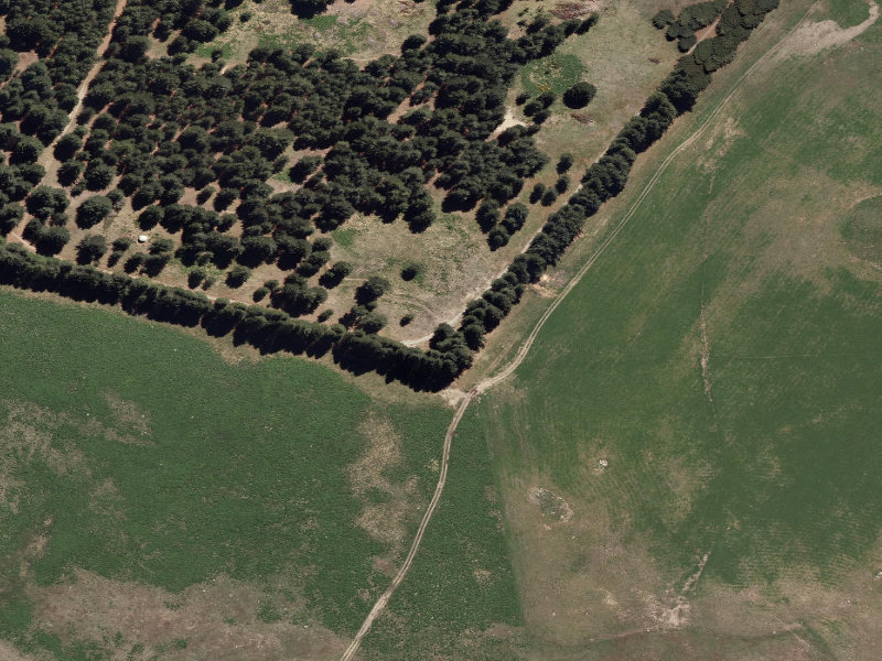 aerial view of Combined Mtb And Walk and the ground around it