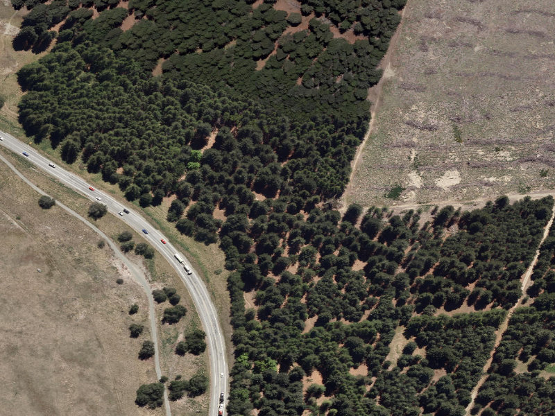 aerial view of Combined Mtb And Walk and the ground around it