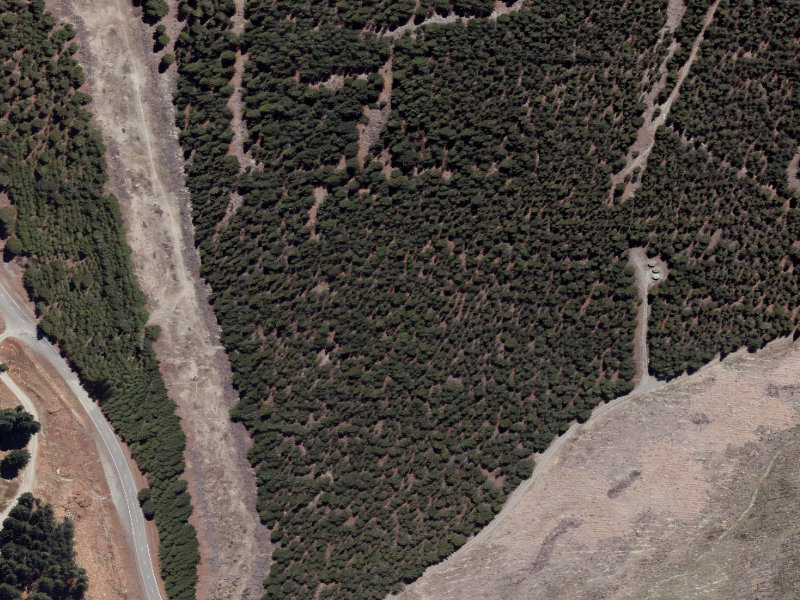 aerial view of Combined Mtb And Walk and the ground around it