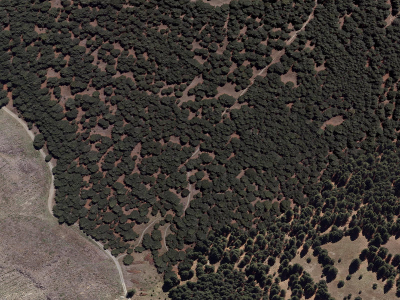 aerial view of Combined Mtb And Walk and the ground around it
