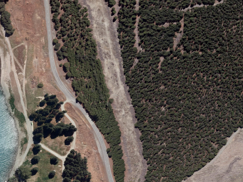 aerial view of Combined Mtb And Walk and the ground around it