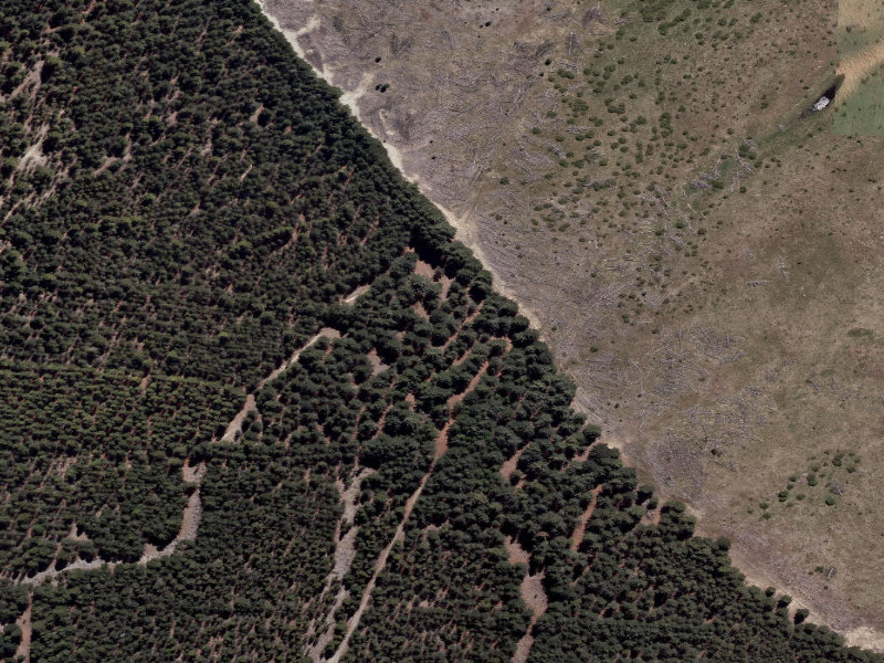 aerial view of Combined Mtb And Walk and the ground around it