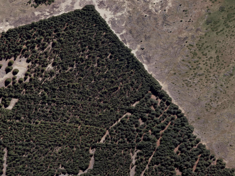 aerial view of Combined Mtb And Walk and the ground around it