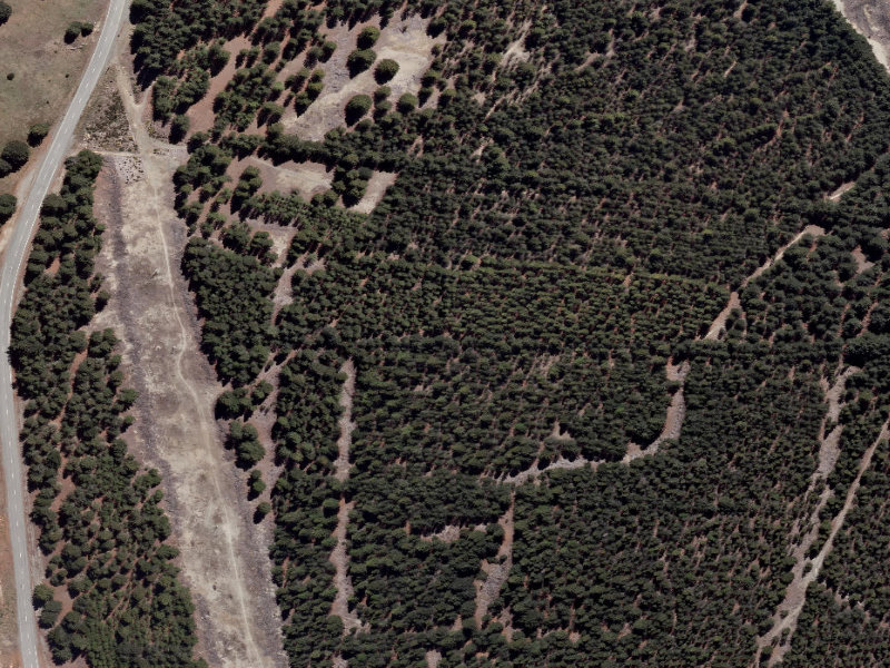 aerial view of Combined Mtb And Walk and the ground around it