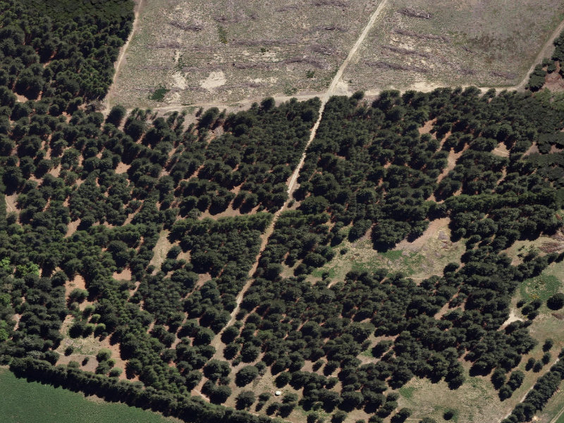 aerial view of Combined Mtb And Walk and the ground around it