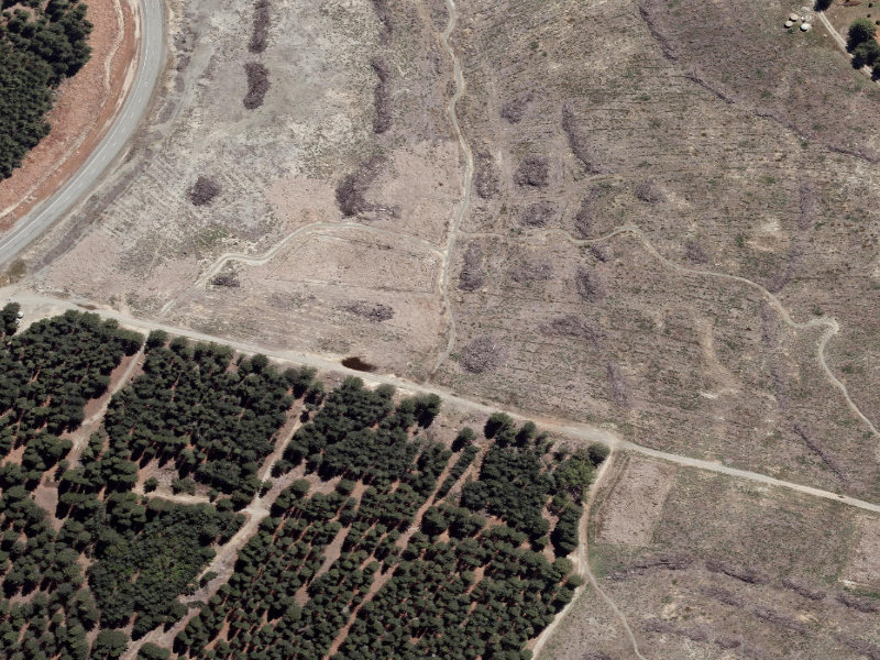 aerial view of Combined Mtb And Walk and the ground around it