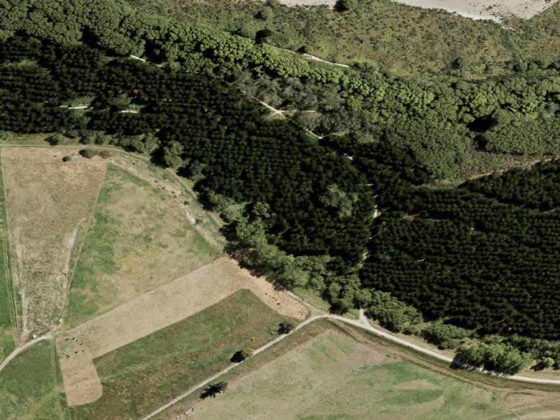 aerial view of Combined Mtb And Walk and the ground around it