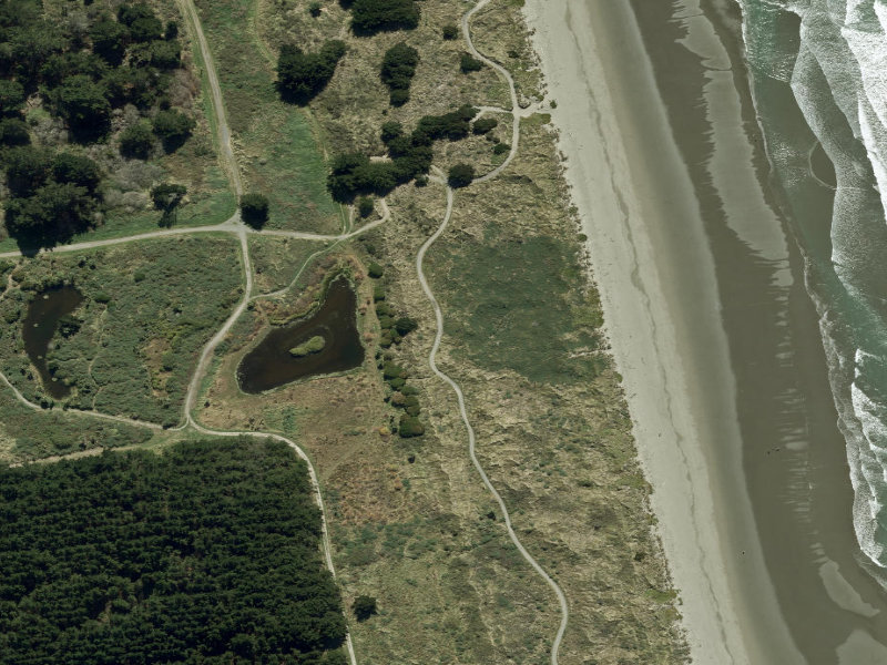 aerial view of Walk and bike track through Bottle Lake and the ground around it