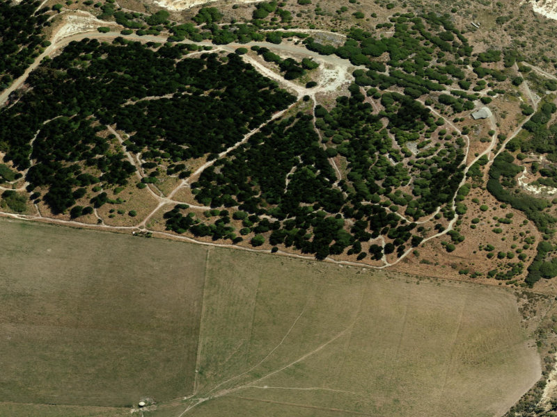 aerial view of Oamaru Walkway and the ground around it