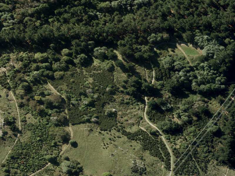 aerial view of Walk and bike track through Cashmere and the ground around it