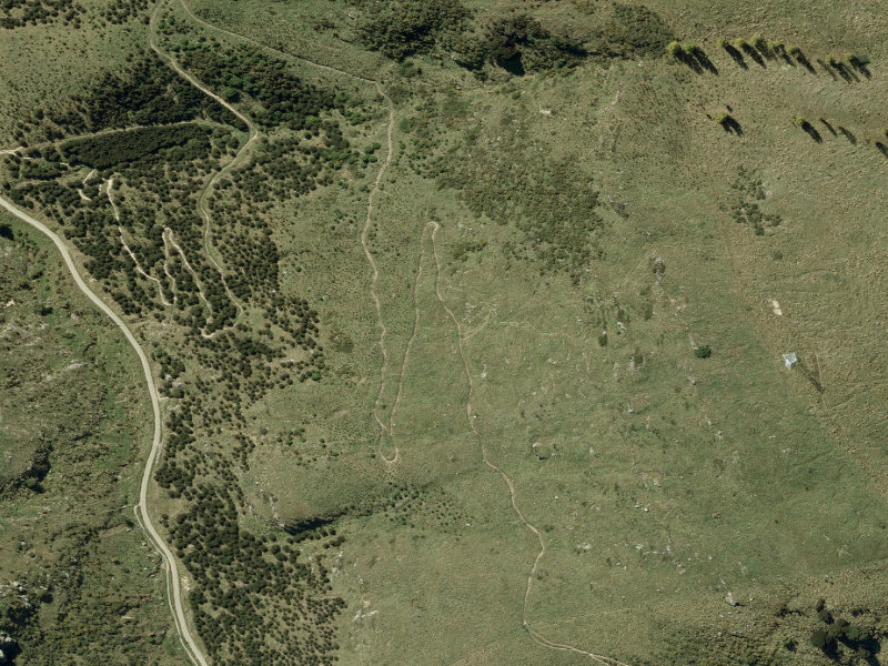 aerial view of Walk and bike track through Cashmere and the ground around it