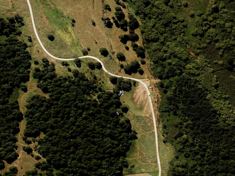 aerial view of Kahikatea Walk and the ground around it