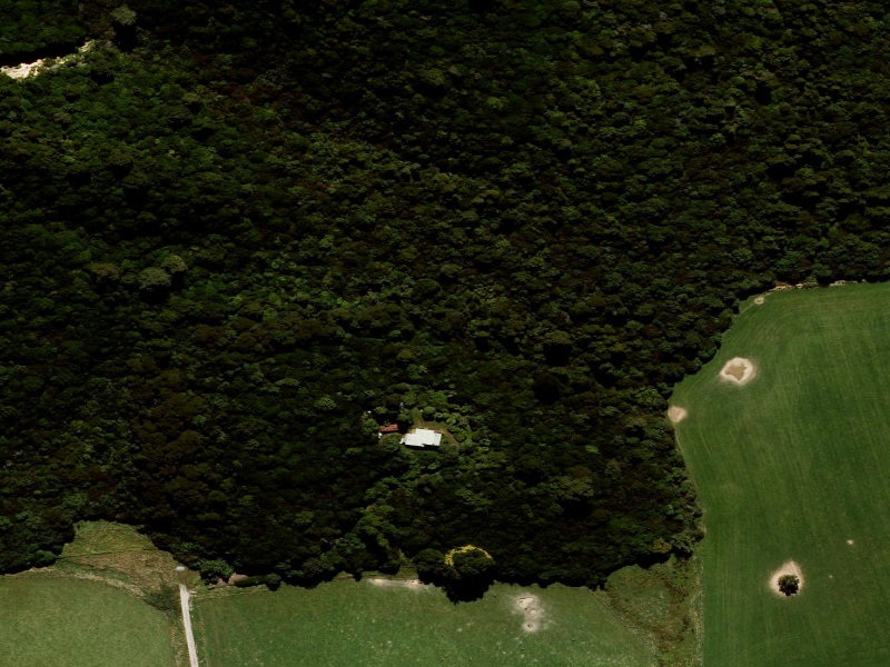 aerial view of Fern Walk and the ground around it