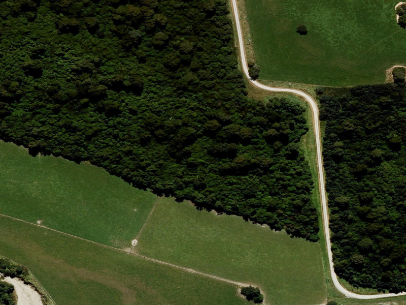aerial view of Denistoun Walk and the ground around it