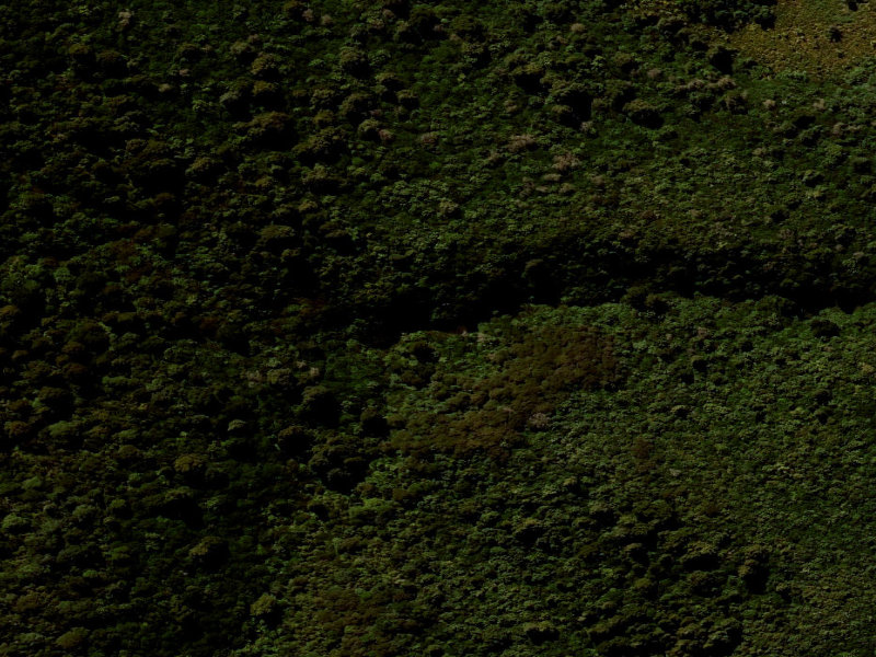 aerial view of Ackland Falls and the ground around it