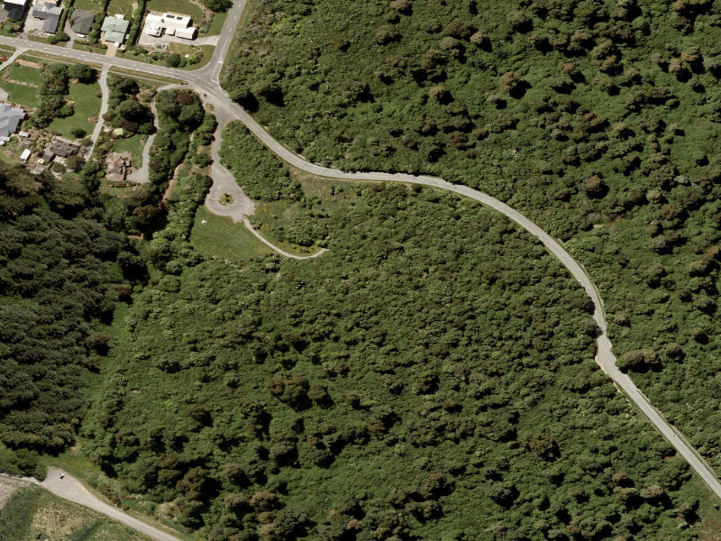 aerial view of Talbot Forest and the ground around it
