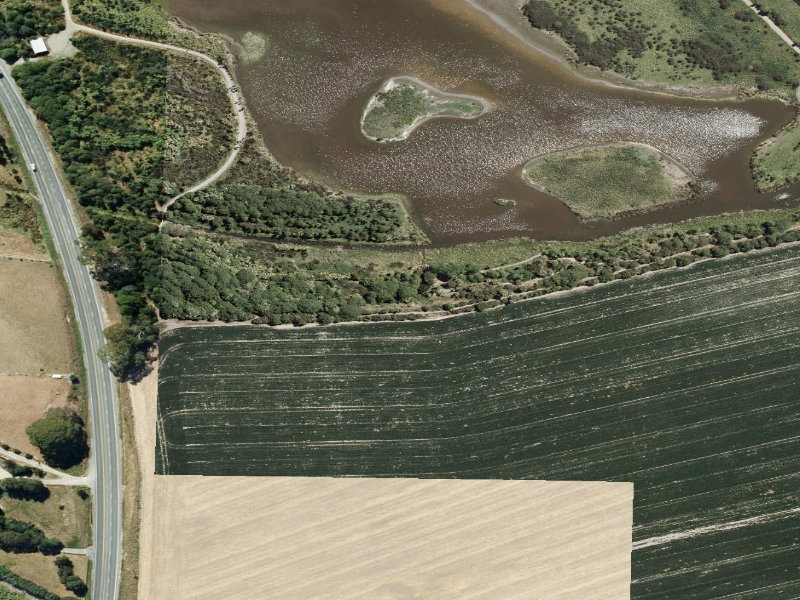 aerial view of Otipua Wetlands and the ground around it