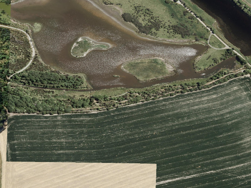 aerial view of Otipua Wetlands and the ground around it