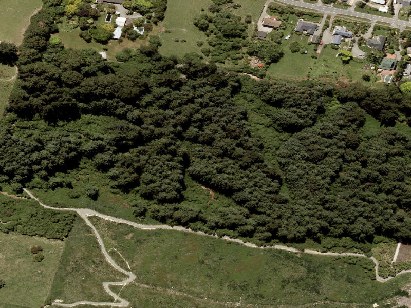 aerial view of Riddel's Reserve and the ground around it