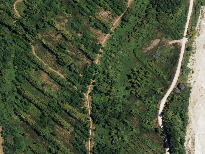 aerial view of Orari River Mountain Bike Tracks and the ground around it