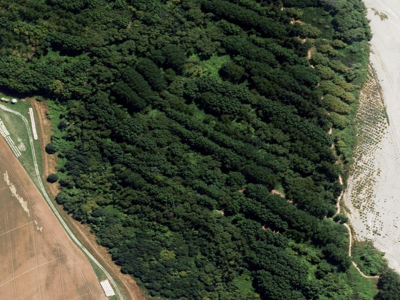aerial view of Orari River Mountain Bike Tracks and the ground around it