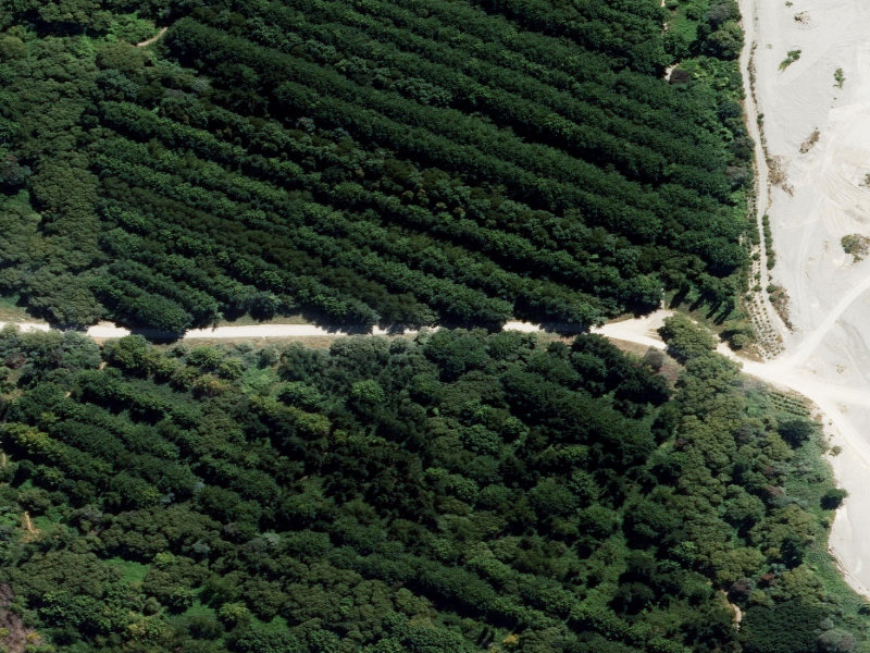 aerial view of Orari River Mountain Bike Tracks and the ground around it