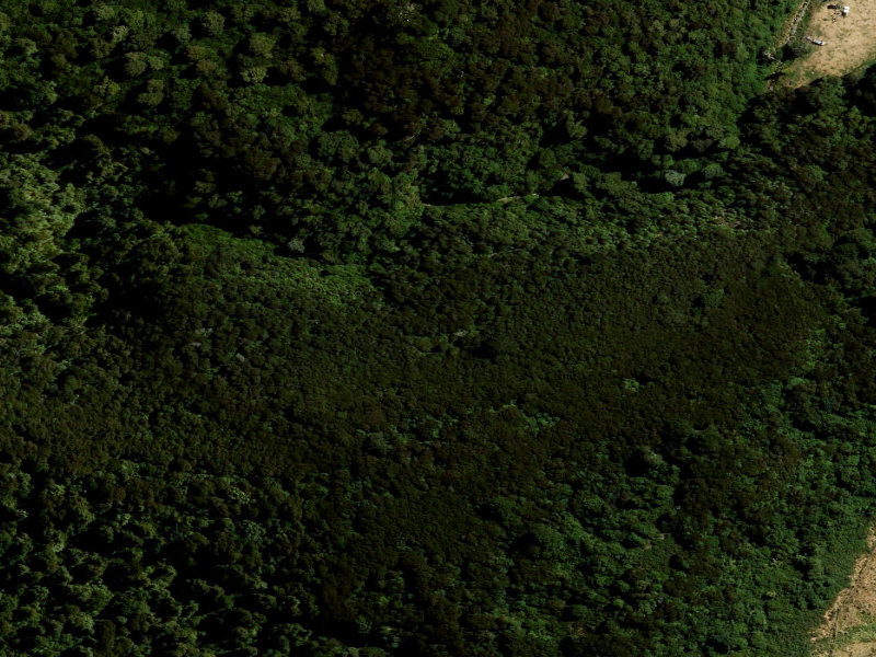 aerial view of White Pine Track and the ground around it