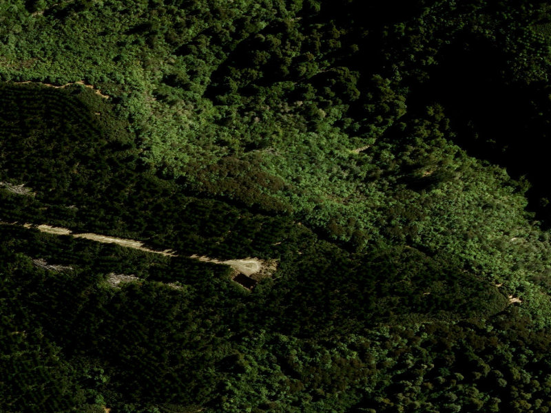 aerial view of White Pine Track and the ground around it