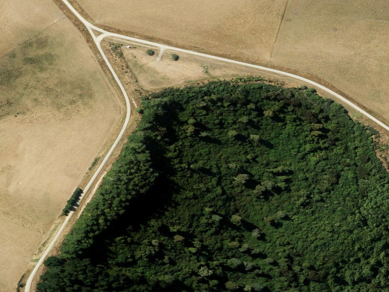 aerial view of Waitohi Bush and the ground around it