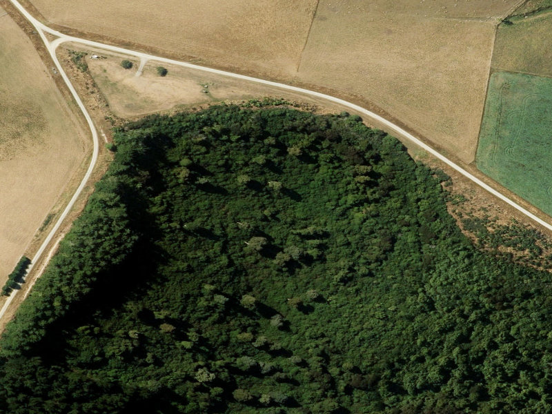 aerial view of Waitohi Bush and the ground around it