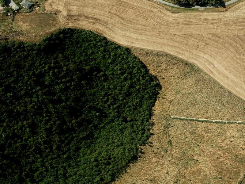 aerial view of Claremont Bush and the ground around it