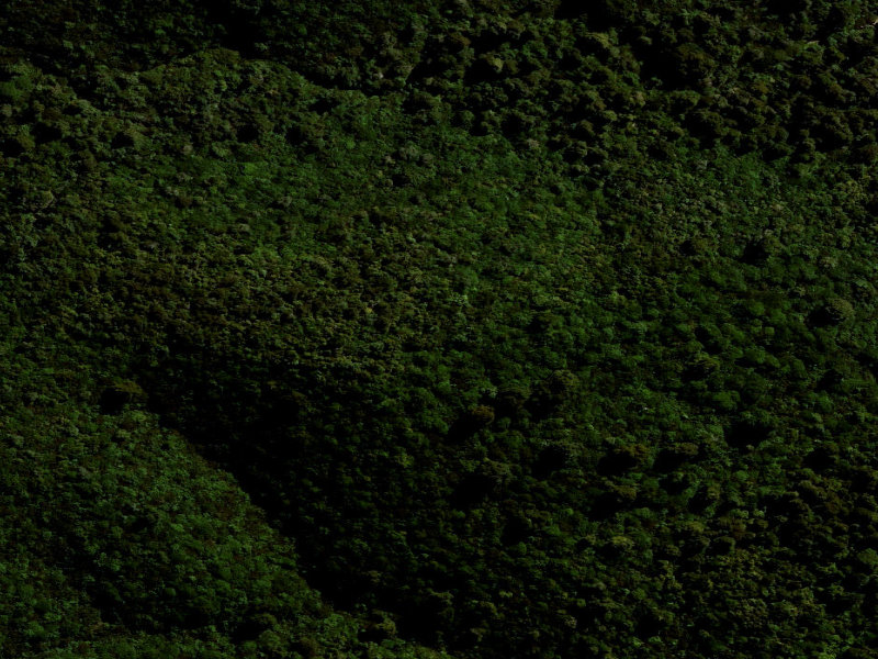aerial view of Orari Gorge Track and the ground around it