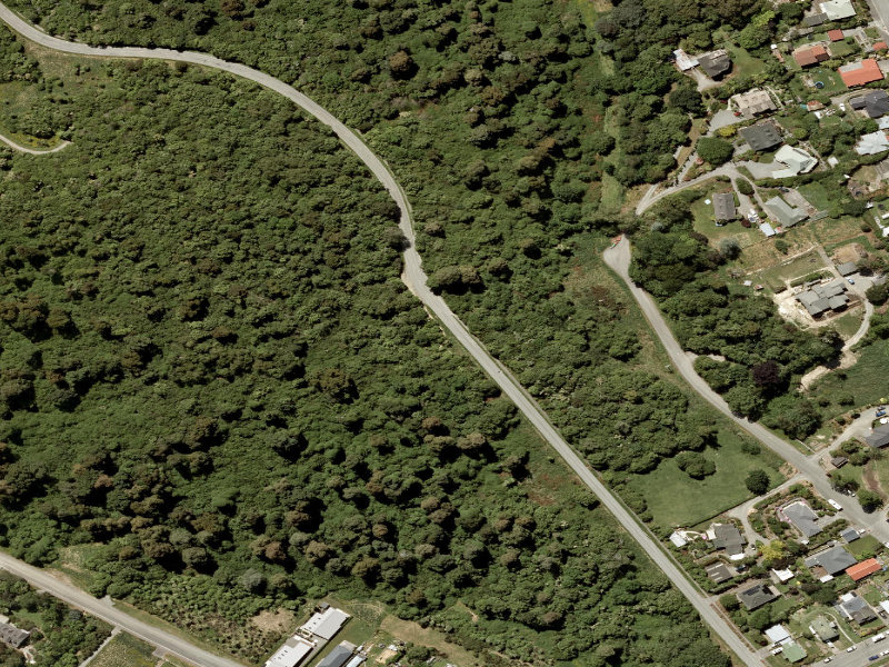 aerial view of Talbot Forest and the ground around it
