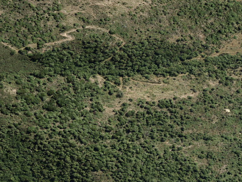 aerial view of Ngaio Track and the ground around it