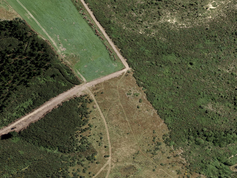 aerial view of Whitehorse Link Track and the ground around it