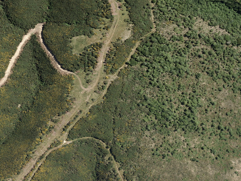 aerial view of Bellbird Track and the ground around it