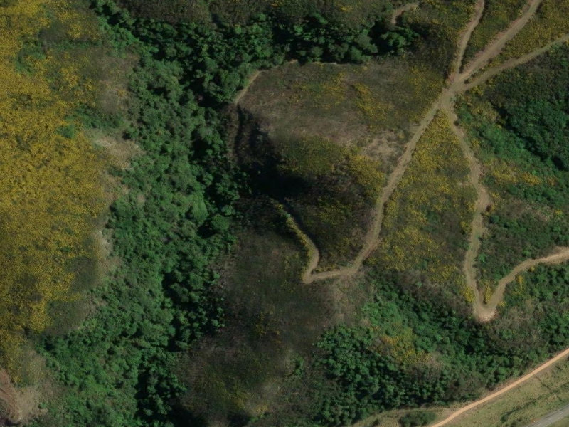 aerial view of Waterfall Track and the ground around it